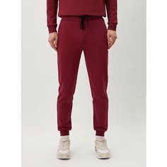 Брюки спортивные Ritter jeans, размер 46, бордовый