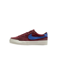 Кеды NIKE SB Zoom Pogo Plus, размер 8 US, цветной