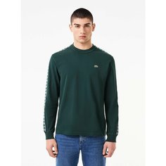 Лонгслив LACOSTE, размер T5