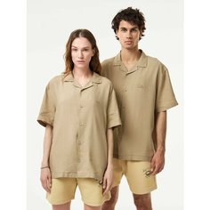 Рубашка LACOSTE Осень-зима 2024, размер T38, песочный