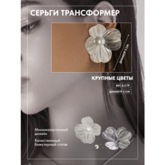 Серьги Цветные решения в дизайне, бесцветный