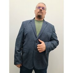 Пиджак VICTOR ENZO, размер 66, серый