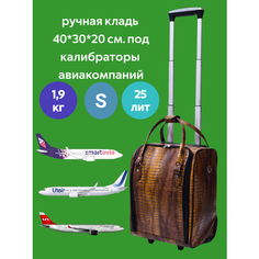 Кейс-пилот Bags Lab, 25 л, размер XS, коричневый