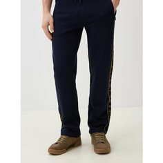 Брюки спортивные Aircraft, размер 52, темно-синий