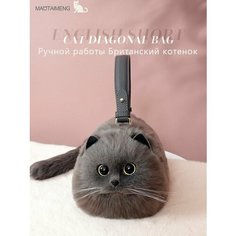 Сумка Harasin