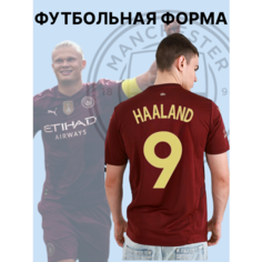 Футболка спортивная Манчестер Сити Холланд 24/25, 1 шт., размер S, бордовый Нет бренда