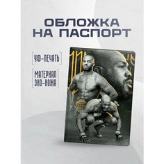 Обложка для паспорта STICKERBOSS, разноцветный