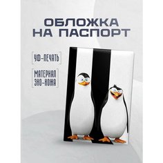 Обложка для паспорта STICKERBOSS, серебристый