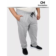 Брюки спортивные , размер 4XL, светло-серый Не определен