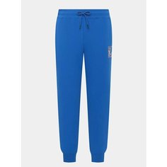 Брюки спортивные Ritter jeans, размер 56, голубой