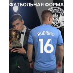 Футболка спортивная Манчестер Сити Родри 24/25, 1 шт., размер S, голубой Нет бренда