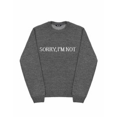Джемпер SORRY, IM NOT, размер L, , серый