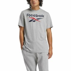 Футболка спортивная Reebok Identity Big Logo Tee, размер S INT, серый/красный/синий