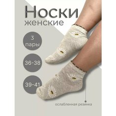 Носки , комплект, 3 пары, размер 23 ИвНоски
