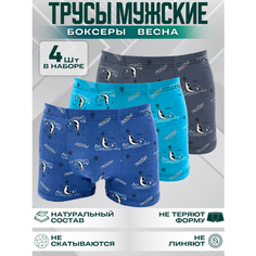 Трусы Menron Трусы, комплект из 4 шт., размер 5XL, ассорти