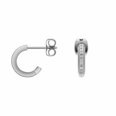 Серьги пусеты Daniel Wellington, серебристый