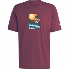 Футболка adidas Adi Picture Tee, 1 шт., размер XL INT, бордовый