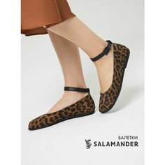 Балетки Salamander, размер 40, коричневый/черный