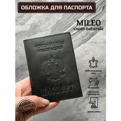 Обложка для паспорта , черный Нет бренда
