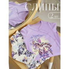 Комбинезон BABYGLORY Райский сад, закрытая стопа, комплект из 2 шт., размер 20-62, светло-сиреневый