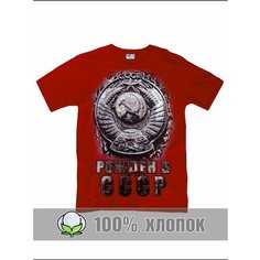 Футболка RexTex, размер 48, красный