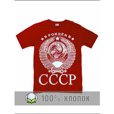 Футболка RexTex, размер 48, красный