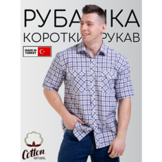 Рубашка Palmary Leading PALMARY LEADING, размер XXXL, разноцветный