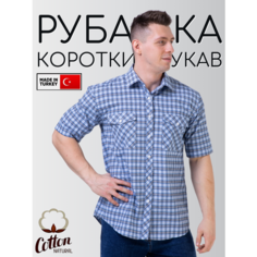 Рубашка Palmary Leading PALMARY LEADING, размер XXL, бело-голубой