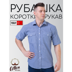 Рубашка Palmary Leading PALMARY LEADING, размер M, сине-белый/клетка