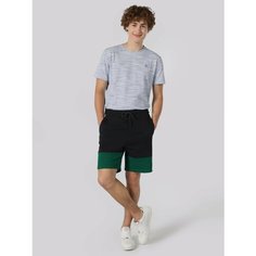 Шорты COLINS Regular Fit, размер L, темно-синий