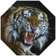 Зонт RainLab, разноцветный