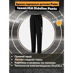 Брюки спортивные PUMA teamLIGA, размер 116, черный