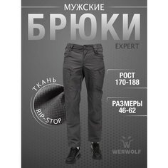 Брюки карго WerWolf, размер 56/182-188, серый