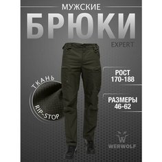 Брюки карго WerWolf, размер 50/182-188