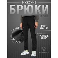 Брюки карго WerWolf, размер 56/182-188, черный black