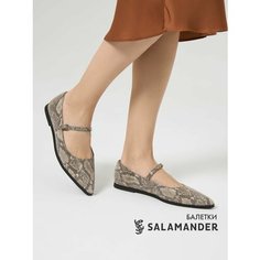 Балетки Salamander, размер 40, разноцветный