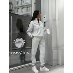 Костюм спортивный , размер 48, серый Нет бренда