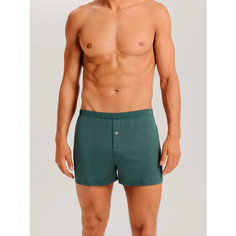 Трусы Hanro Cotton Sporty, размер 2XL, зеленый