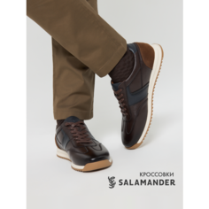 Кроссовки Salamander, размер 44, коричневый