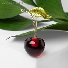Брошь Queen Fair, 1 шт., бордовый