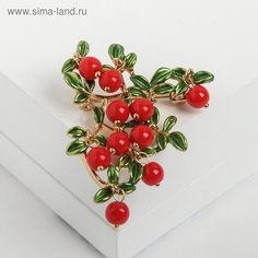 Брошь Queen Fair, искусственный камень, эмаль, 1 шт., красный