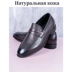 Лоферы BELLE BAGNINO мужская обувь, размер 39, коричневый