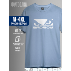 Футболка BAD BOY, размер M, голубой