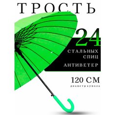 Зонт-трость Classica, зеленый
