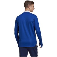 Свитшот adidas Tiro21, размер (46)S, , синий