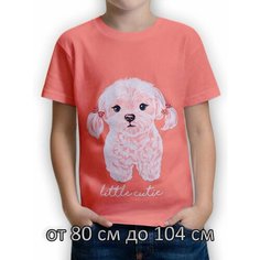 Футболка BONITO KIDS Базовая коллекция, размер 3, серый