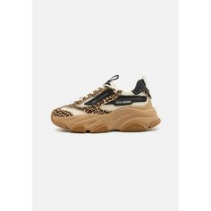 Кроссовки Steve Madden Базовая коллекция, размер 41 EU, бежевый