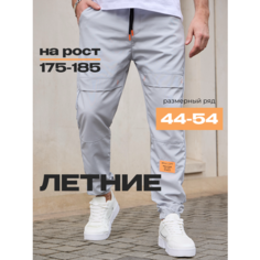 Брюки спортивные Skull Loft skull loft, размер L, grey