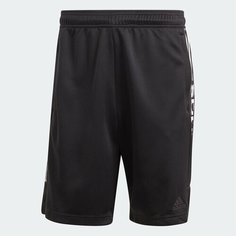Шорты adidas Tiro Wordmark, размер 60/62, черный