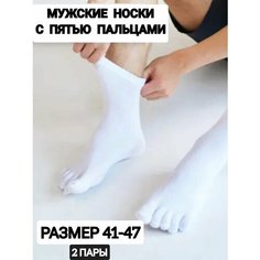 Носки спортивные , размер 41-47, белый Нет бренда